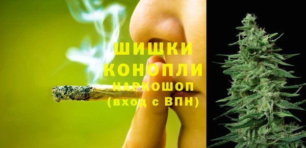 apvp Осташков
