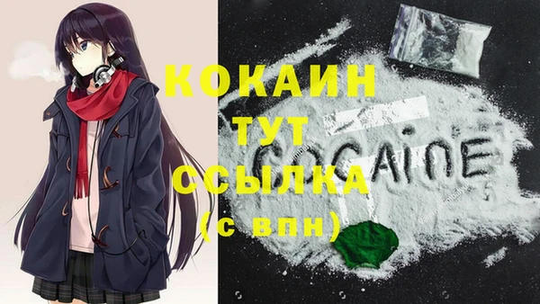 apvp Осташков
