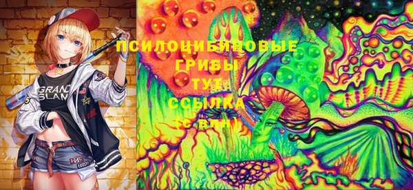 apvp Осташков