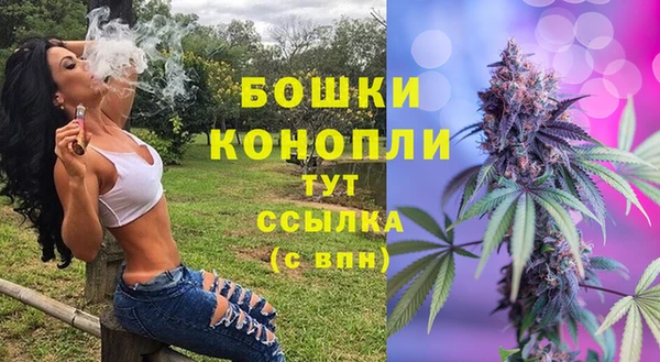 Альфа ПВП Остров