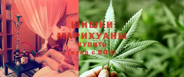 apvp Осташков