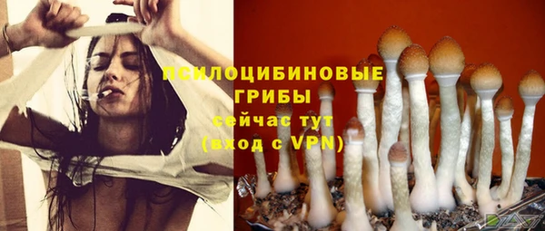 Альфа ПВП Остров
