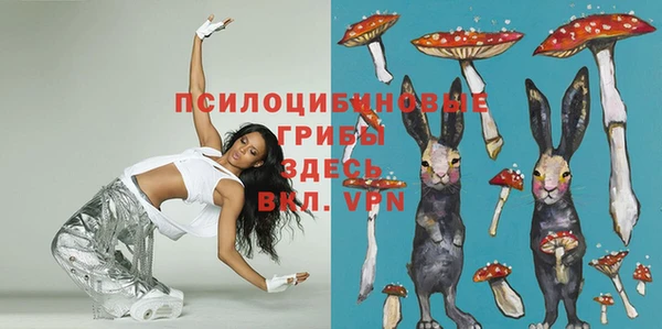 Альфа ПВП Остров