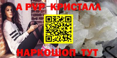 индика Гусев