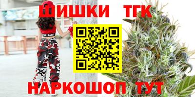 индика Гусев