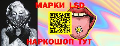 индика Гусев