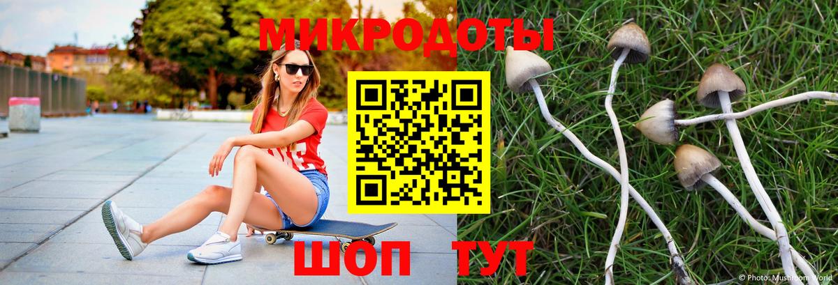 Зерноград  Псилоцибиновые грибы GOLDEN TEACHER  Вход с VPN 